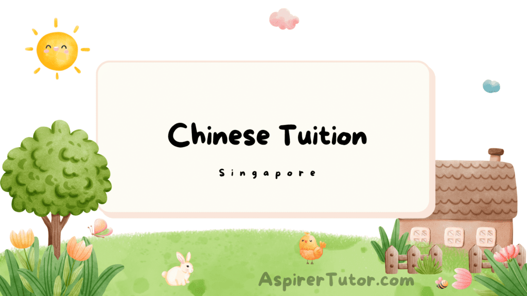 chinese tuition