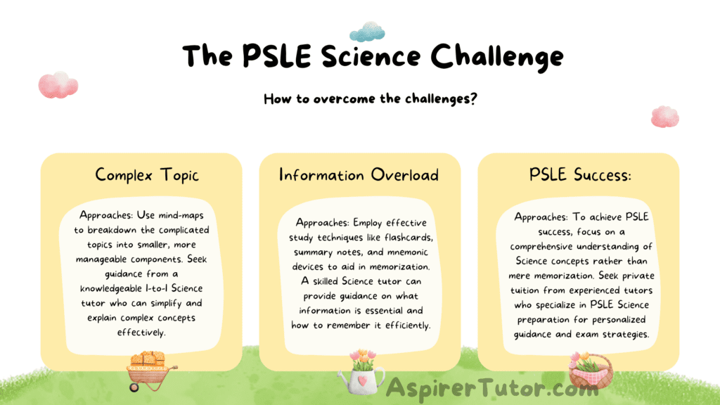 the psle science challenges and how to overcome the challenges