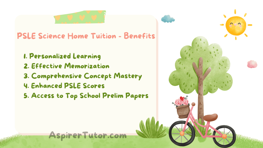 PSLE science home tuition benefits