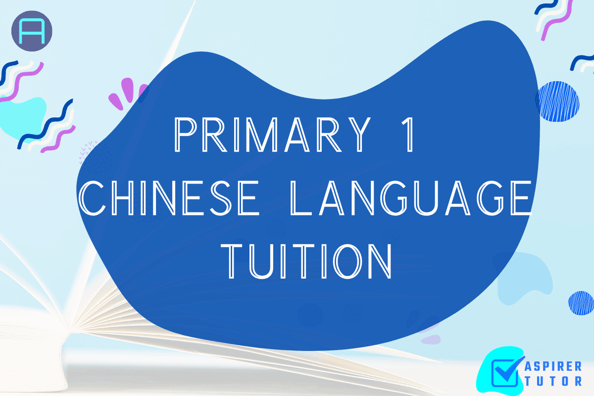 Primary 1 Chinese Tuition