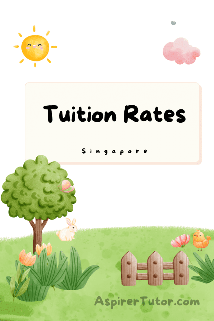 The Singaporean Tuition Culture