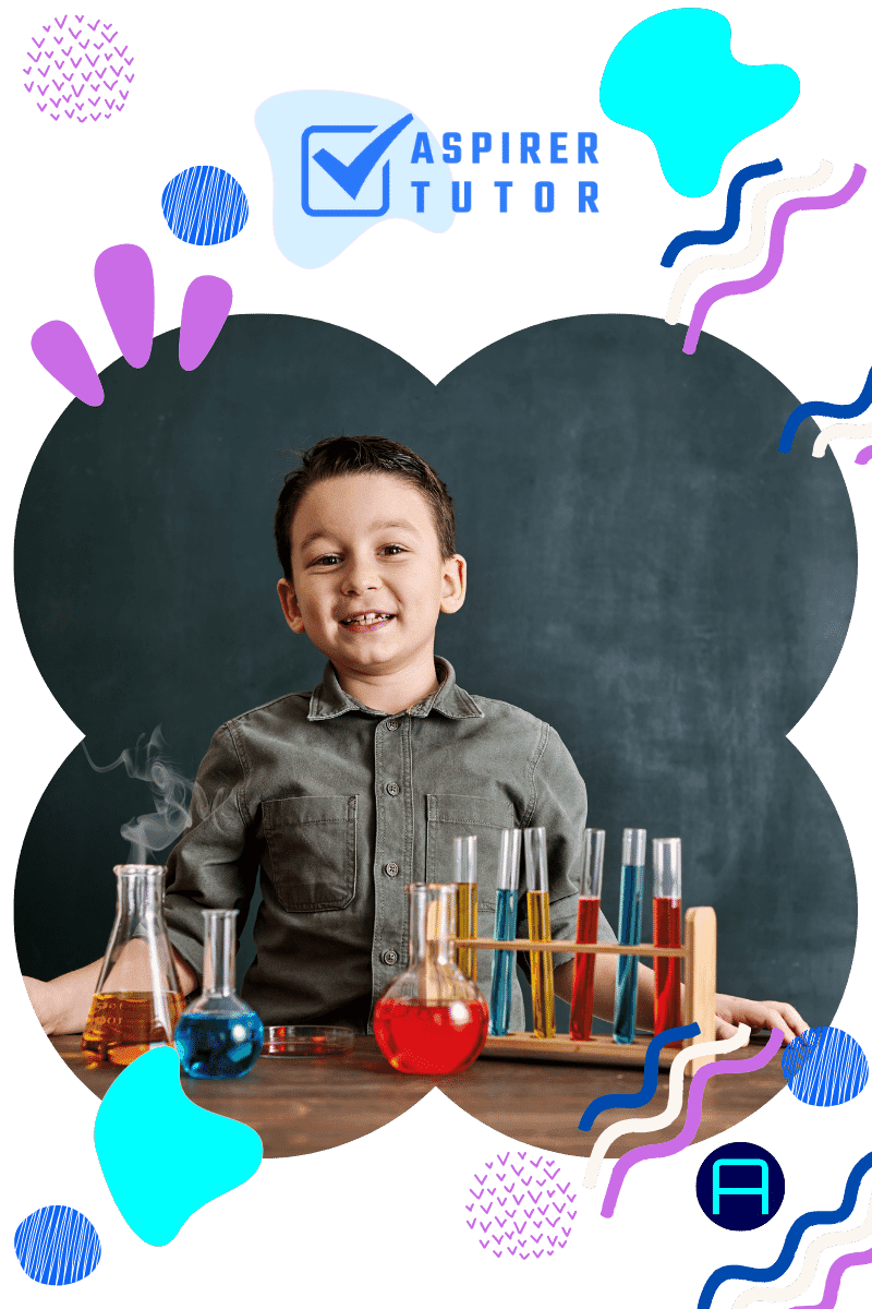 Primary 3 Science Tuition