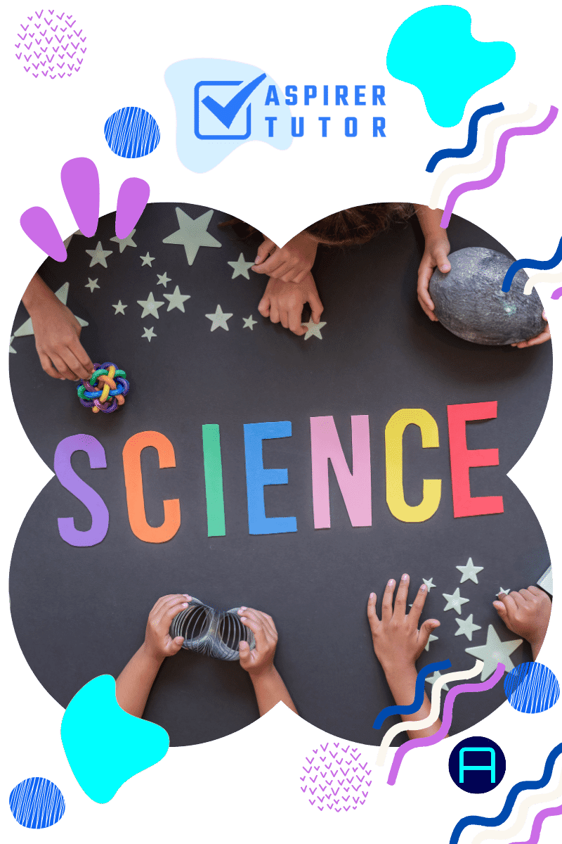 Science Tuition for Primary 3