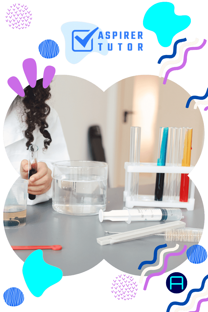 Quality Home Tutors for Primary 3 Science