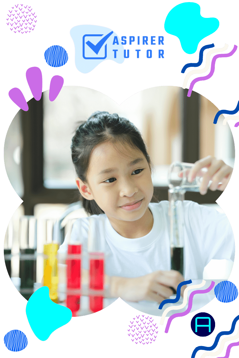 Primary 4 Science Syllabus: