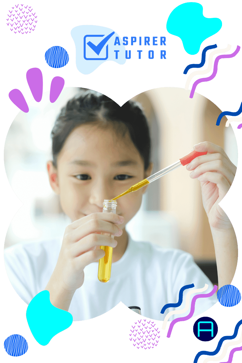 primary 5 tuition home tutor