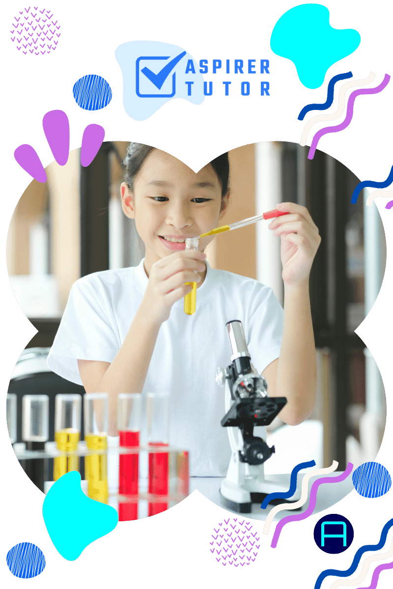 primary 5 science tuition (home tuition)