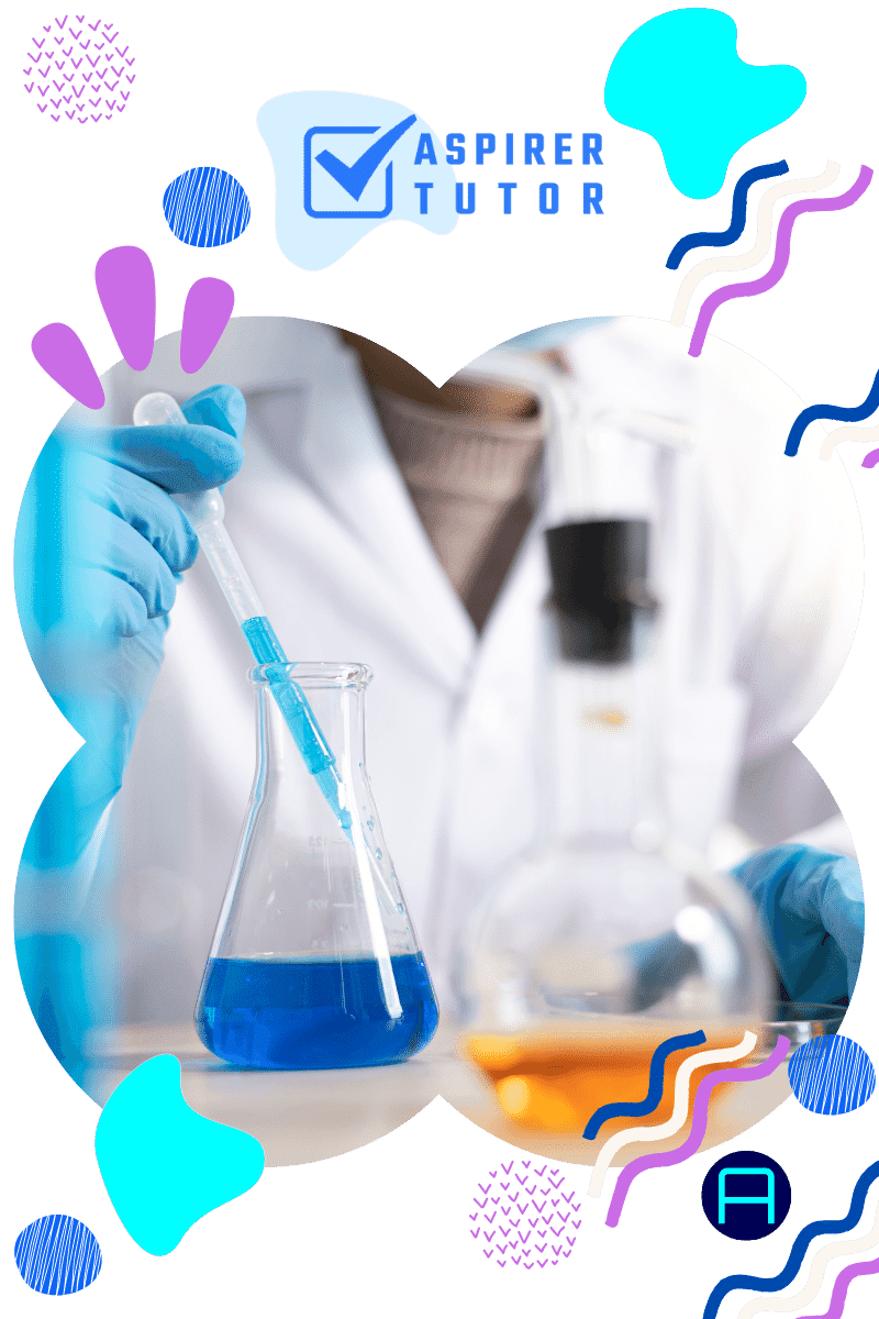 primary 6 science tuition home tutor