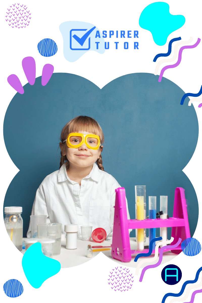 primary 6 science tuition