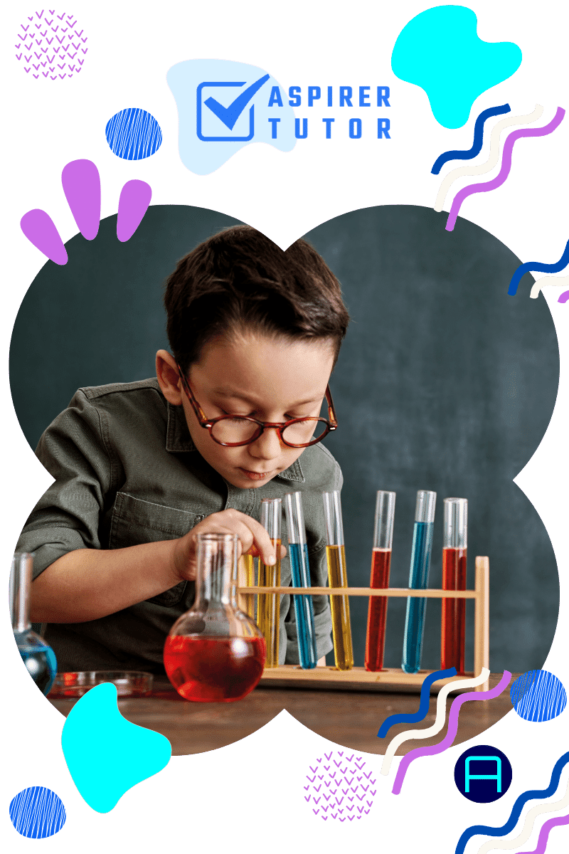 primary 6 home tutor for science
