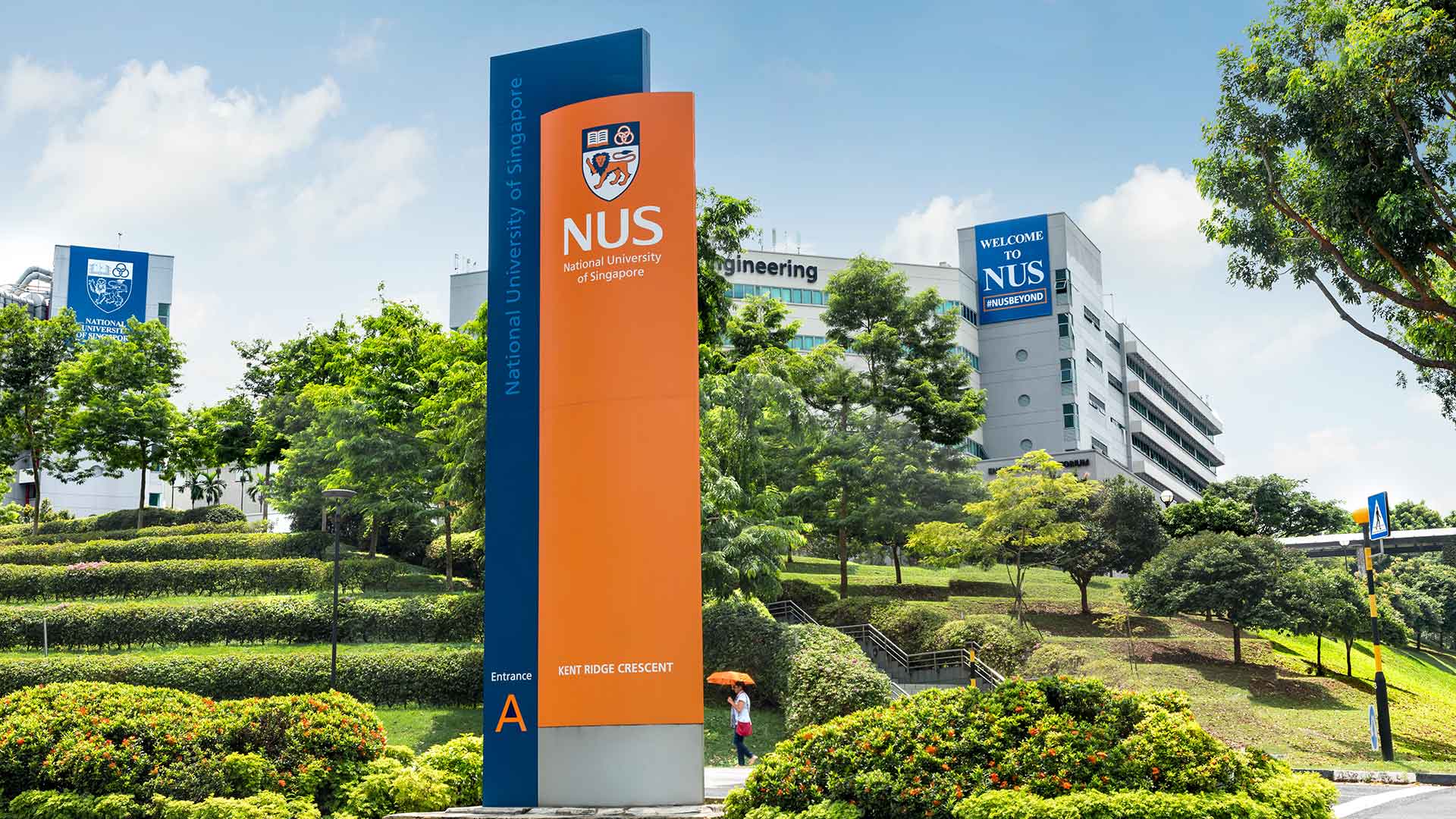Schools at NUS: